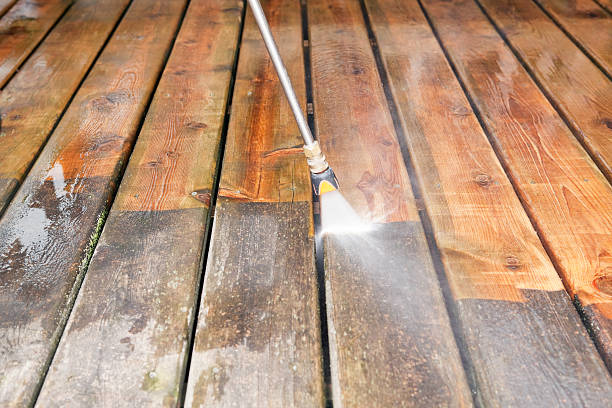 Best Roof Washing  in Timber Pines, FL